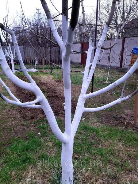 Фарба для садових дерев UniSil WHITE WOOD, 14 кг 2614257342 фото
