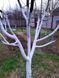 Фарба для садових дерев UniSil WHITE WOOD, 14 кг 2614257342 фото 2