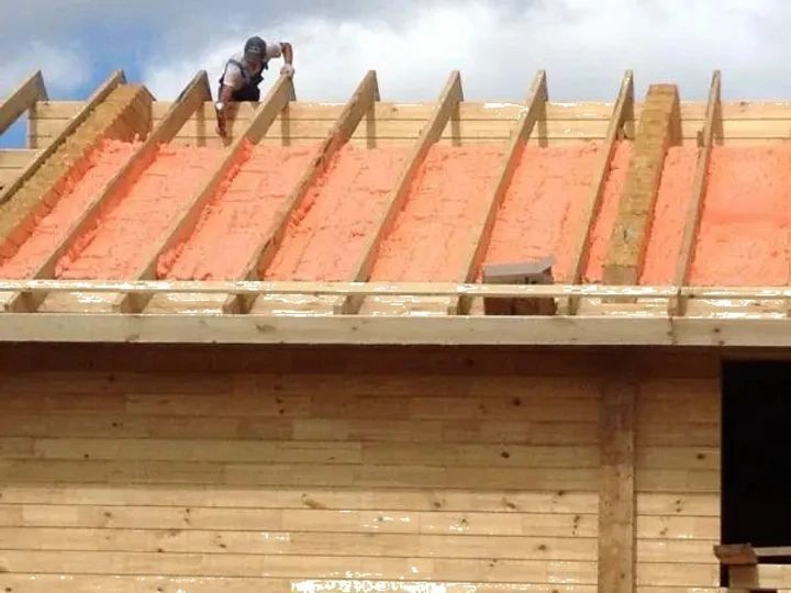 Напилюваний поліуретановий утеплювач Polynor (Полінор) в балонах 1000 мл 1Polynor фото