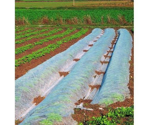 Агроволокно Greentex біле 30 г/м2, рулон 1,6 &times; 100 м 2915285920 фото