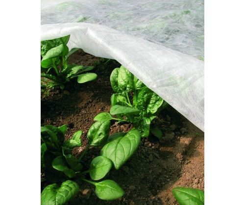 Агроволокно Greentex біле 30 г/м2, рулон 1,6 &times; 100 м 2915285920 фото