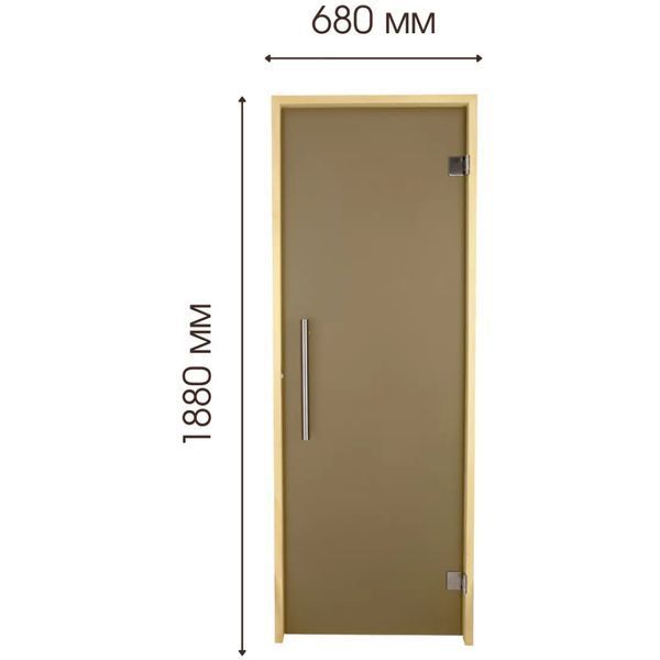 Матові двері для лазні та сауни Tesli Steel Sateen 1900х700 013542 фото